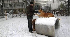 hundespielplatz.jpg