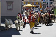 278_appenzell001.jpg