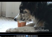 becher.jpg