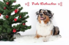 Weihnachten3.jpg