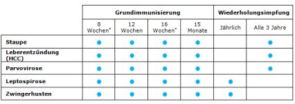 Impfschema Hund.jpg