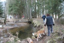 Winterwanderung1.jpg