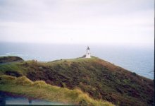 Cape Reinga.jpg