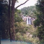 Hunua waterfalls.jpg