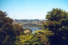 Tuakau-Bridge.jpg