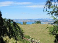 Waikanae beach view.jpg