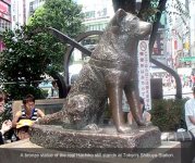 hachiko.jpg