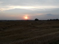 Landschaft bei Stettin_20140802_mq.jpg