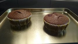 Muffins frisiert.JPG