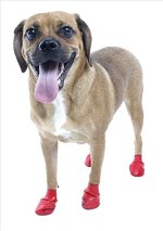 17855-Hundeschuhe-Hundestiefel-Pawz-Pfotenschutz-Boots_1.jpg